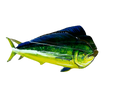 Mahi Mahi Hair Clip