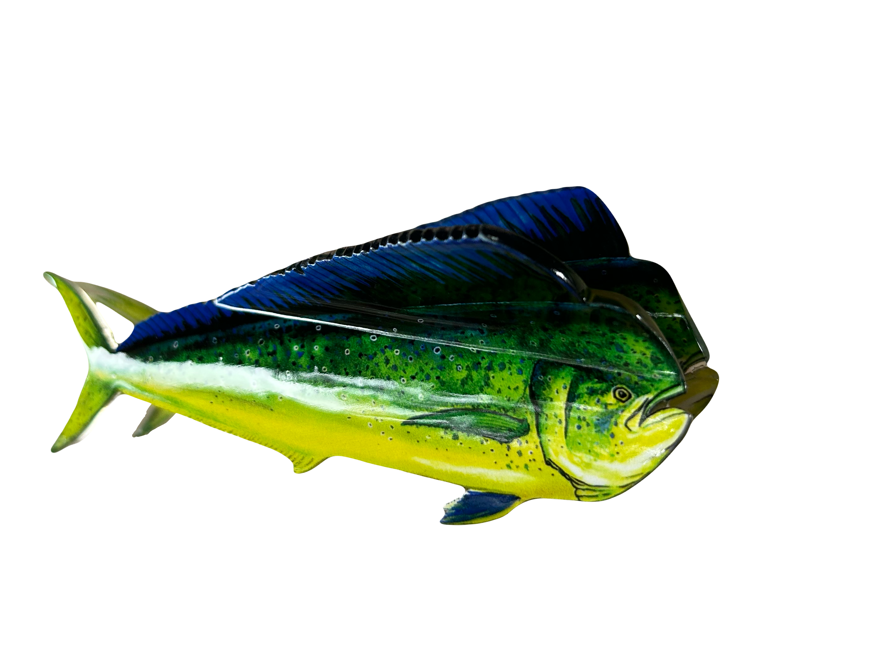Mahi Mahi Hair Clip
